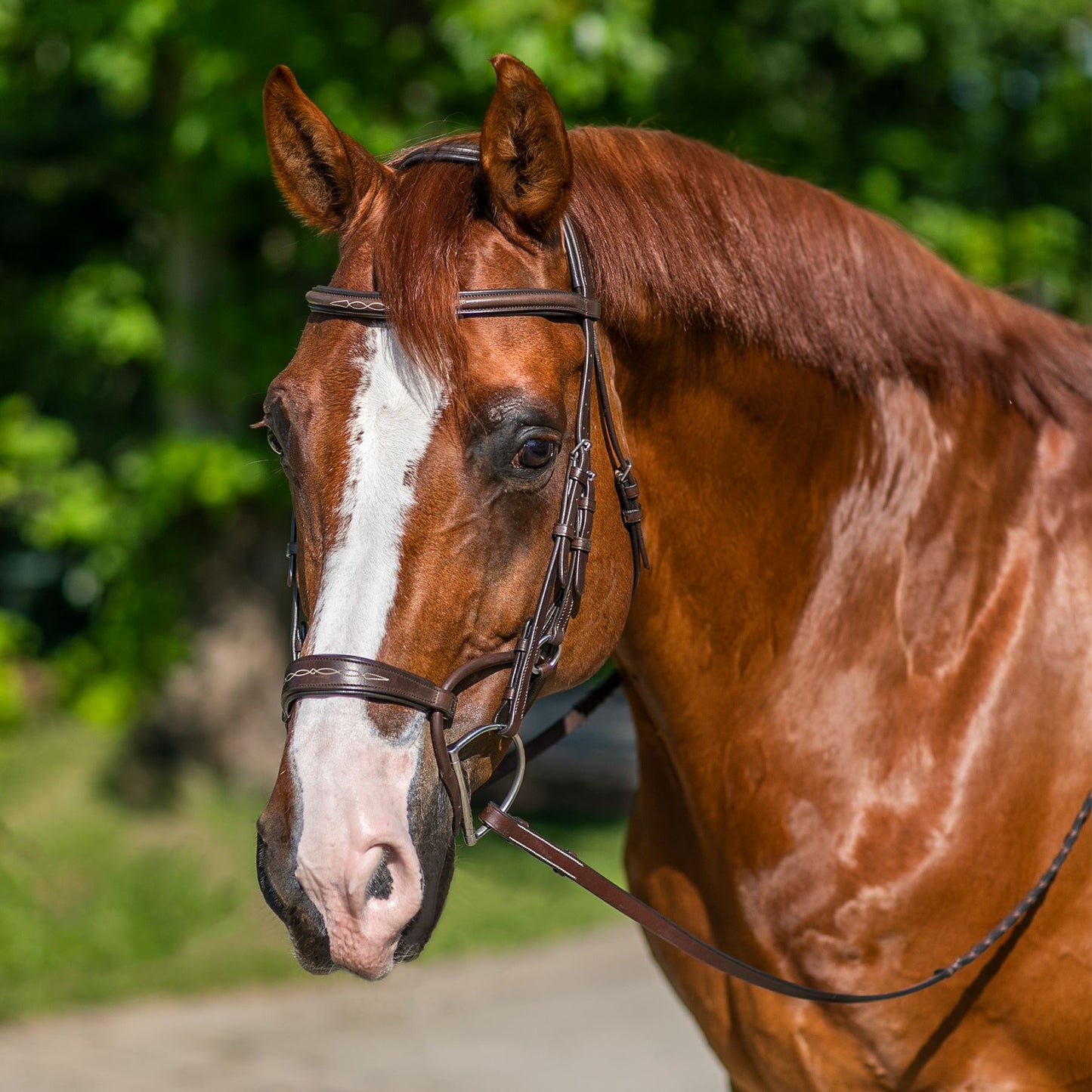 Collegiate ComFITec Fancy Stitched Bridle - Brown
