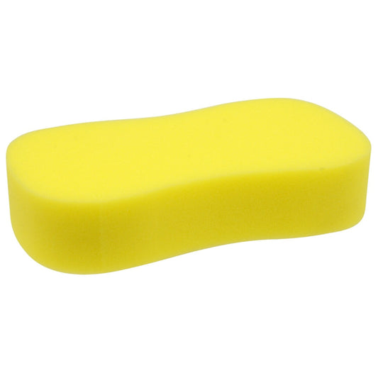 Wash Sponge