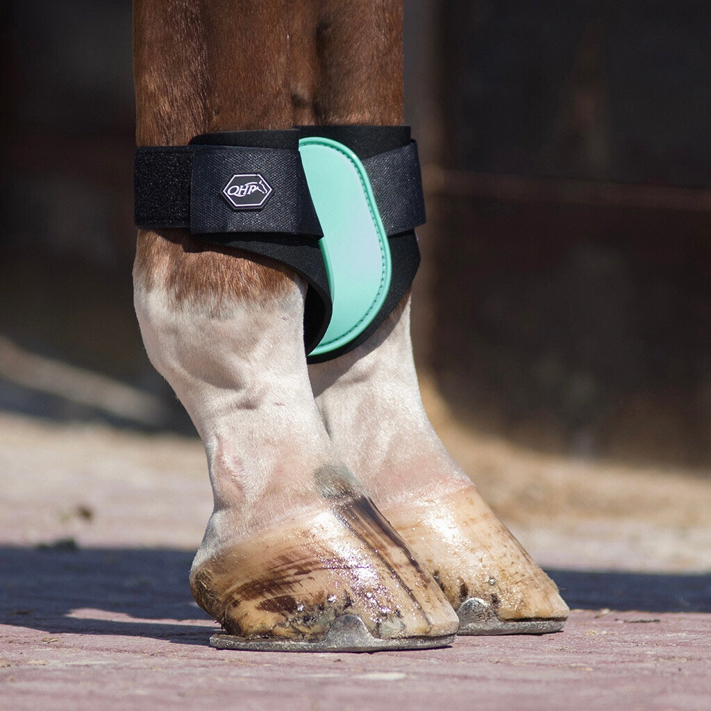 QHP Fetlock Boots - Ice Green