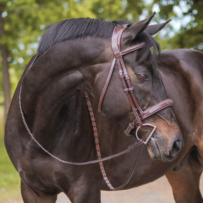 Joseph Sterling® Padded Poll Relief Monocrown English Bridle