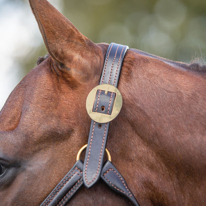 Billy Royal® English Showmanship Halter