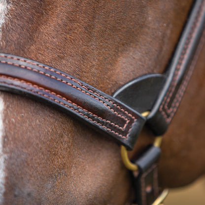 Billy Royal® English Showmanship Halter