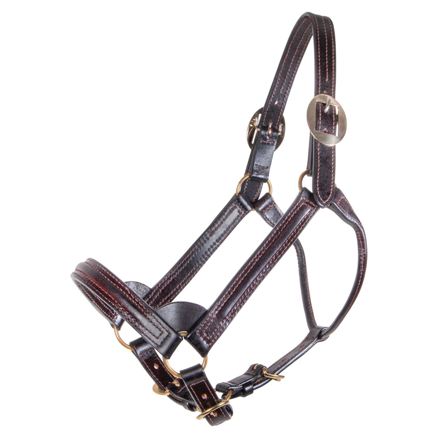 Billy Royal® English Showmanship Halter