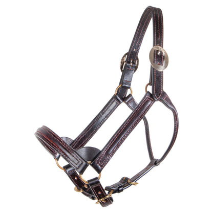 Billy Royal® English Showmanship Halter