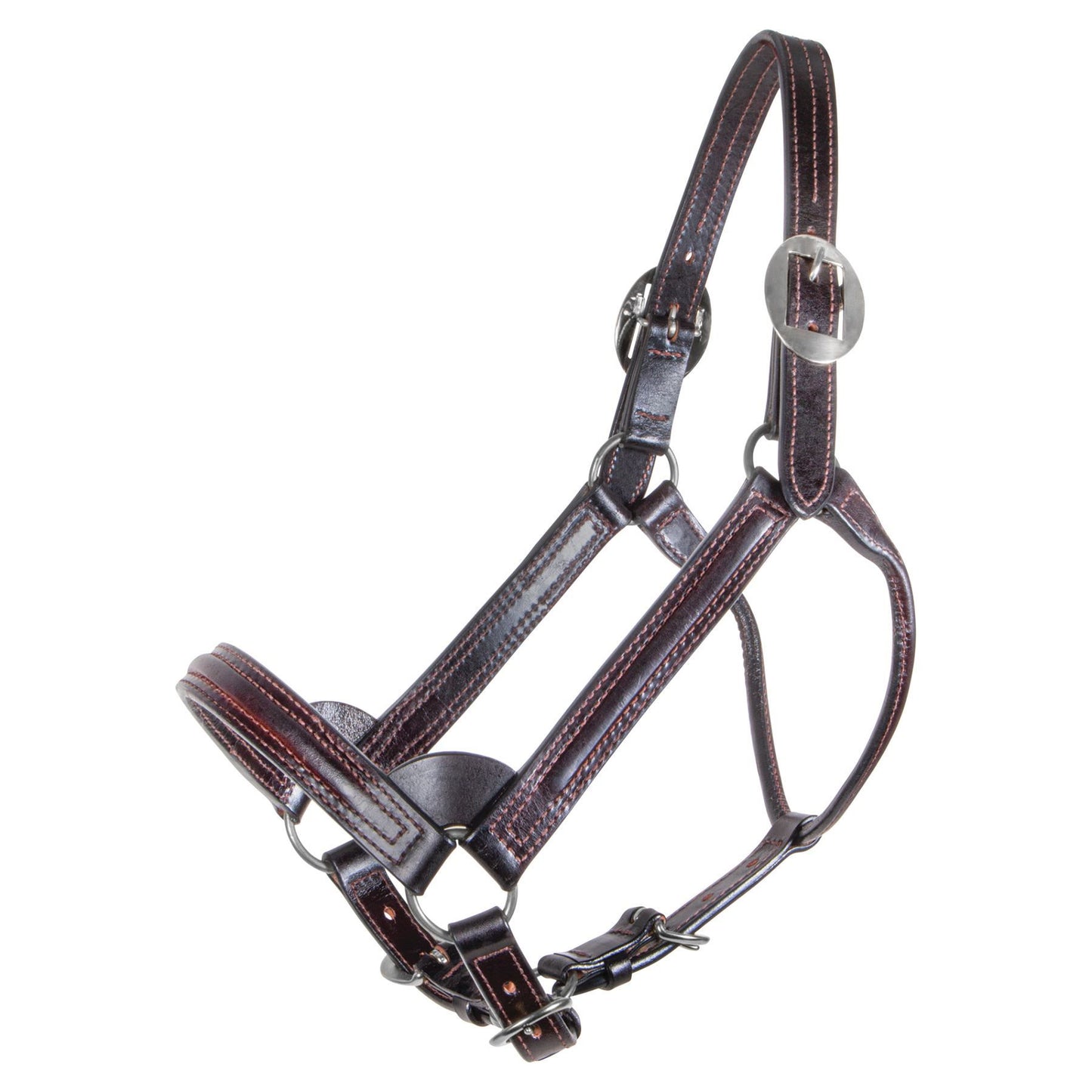 Billy Royal® English Showmanship Halter