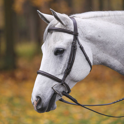 Premier Petite Raised Padded Bridle