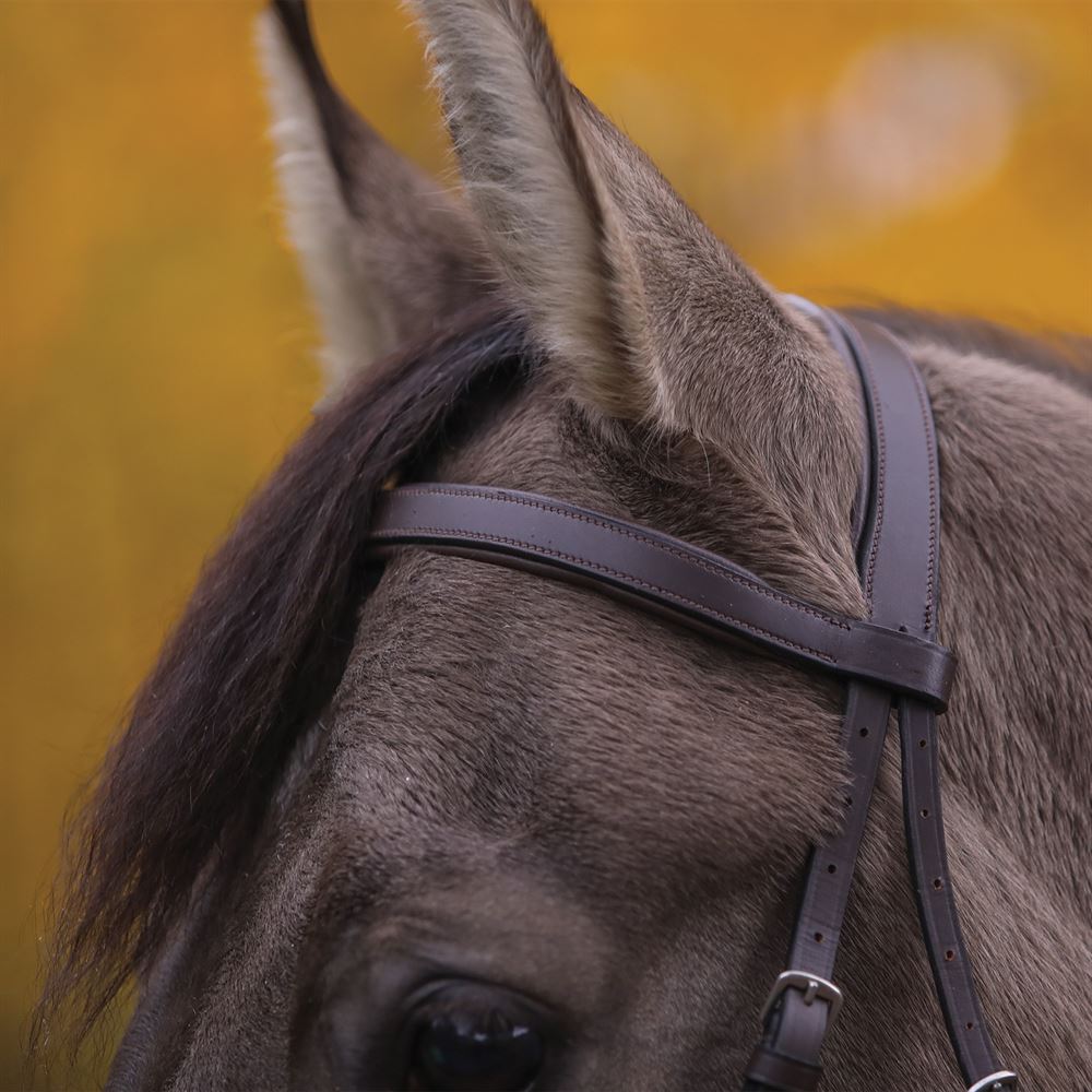 Pinnacle Padded Bitless Bridle