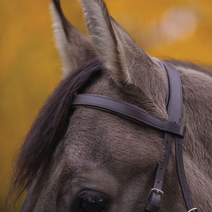 Pinnacle Padded Bitless Bridle