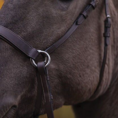 Pinnacle Padded Bitless Bridle