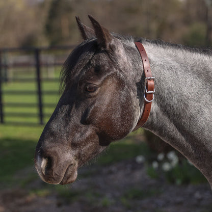 Billy Royal® Leather ID Collar
