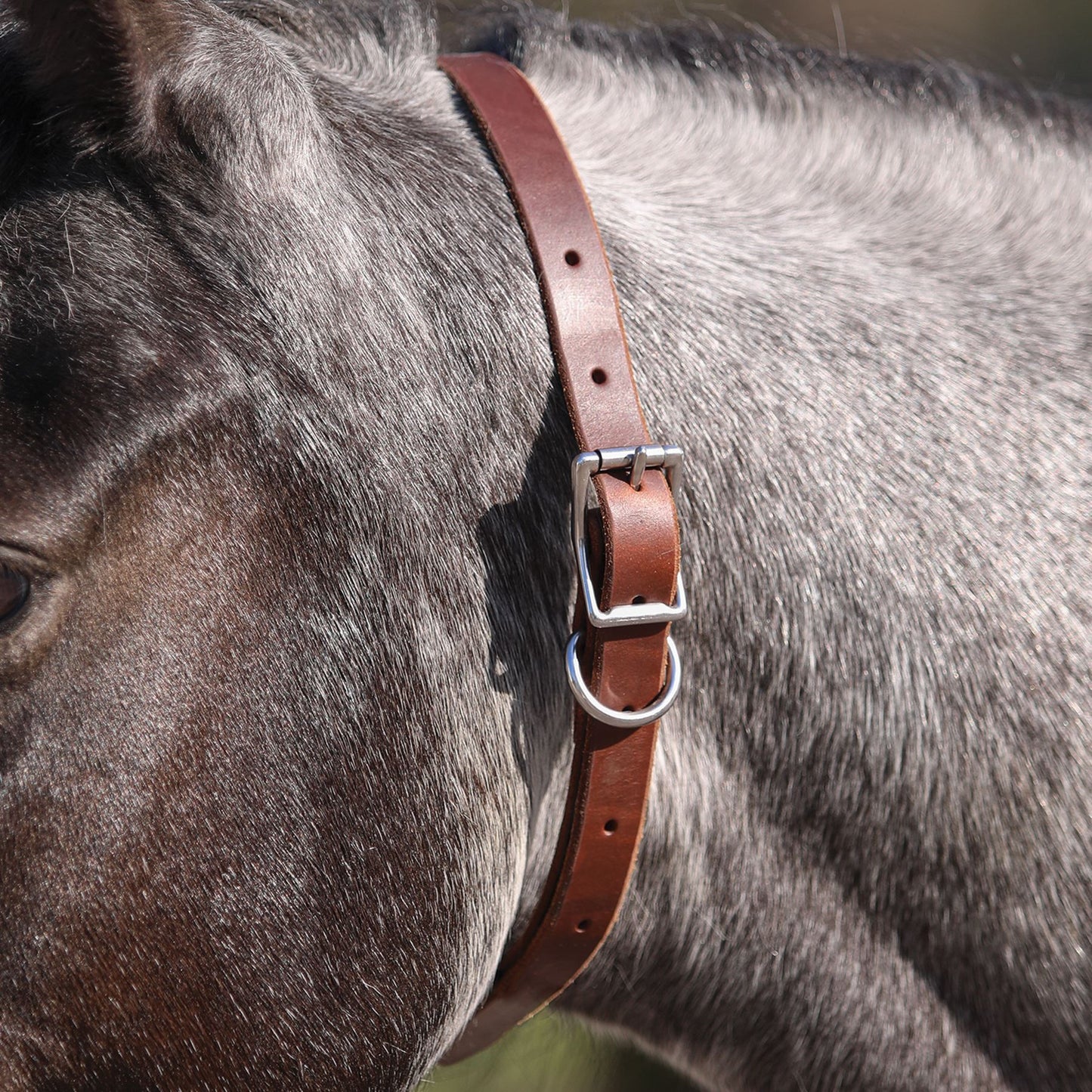 Billy Royal® Leather ID Collar