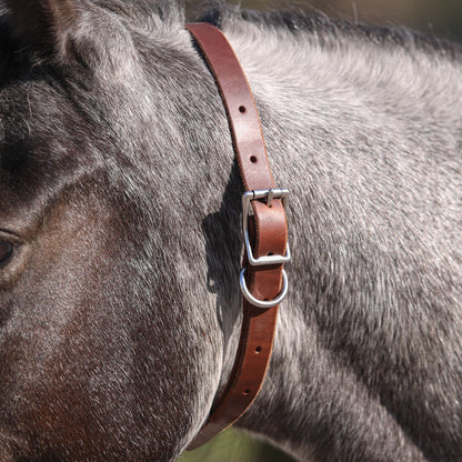 Billy Royal® Leather ID Collar