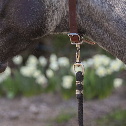 Billy Royal® Leather ID Collar