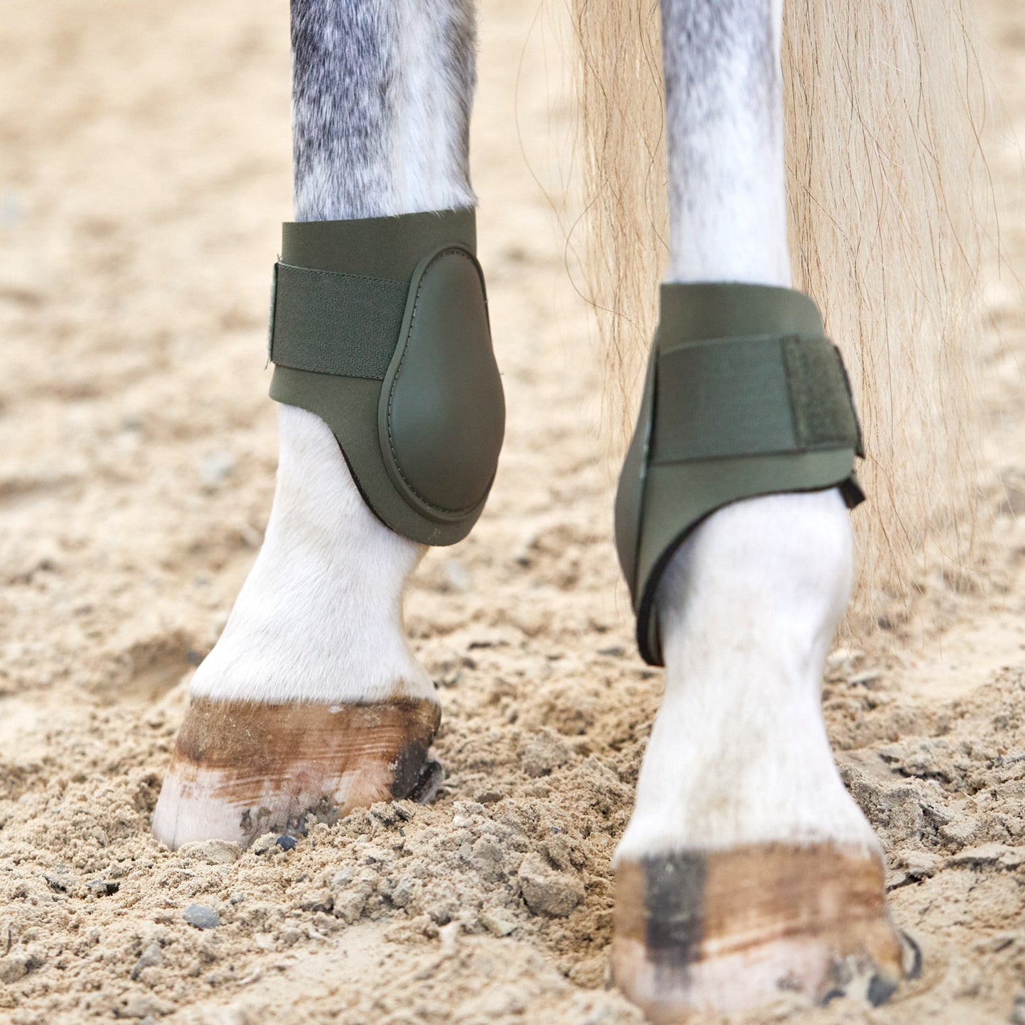 Horze Adepto Fetlock Boots - Beetle Khaki Green