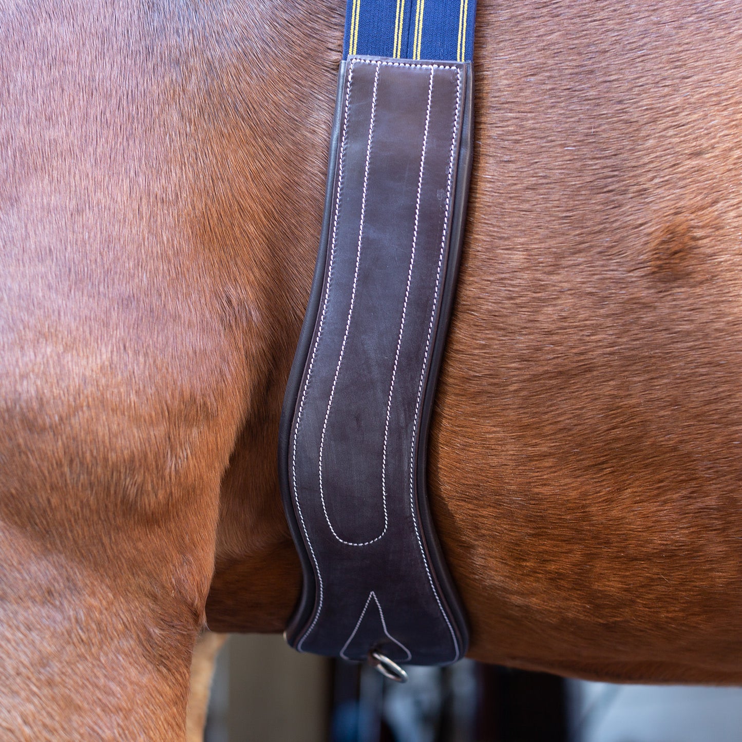 Equinavia Valkyrie Anatomical Long Girth