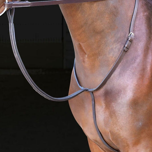 Shires Rossano Premium Fancy Stitched Padded Standing Martingale