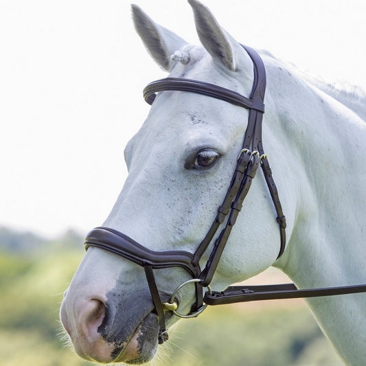 Velociti Ergonomic Flash Bridle - Havana