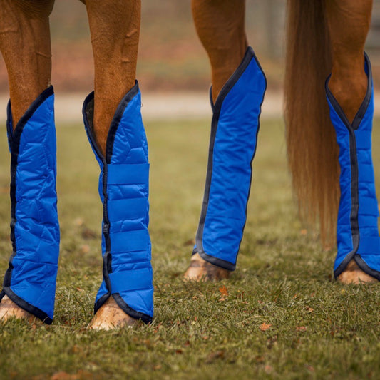 Jacks Quilted Shipping Boots - Royal Blue/Black