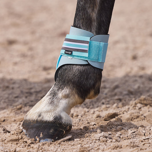 Horze Adepto Fetlock Boots - Canal Blue