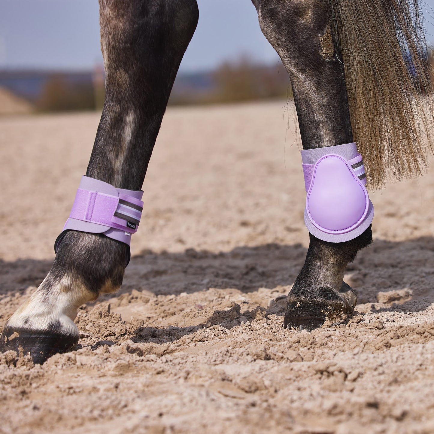 Horze Adepto Fetlock Boots - Languid Lavender Purple