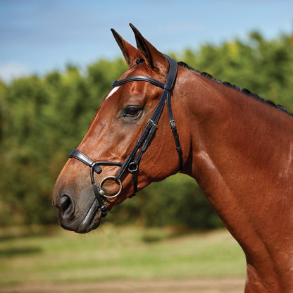 Collegiate ComFITec Training Bridle - Black