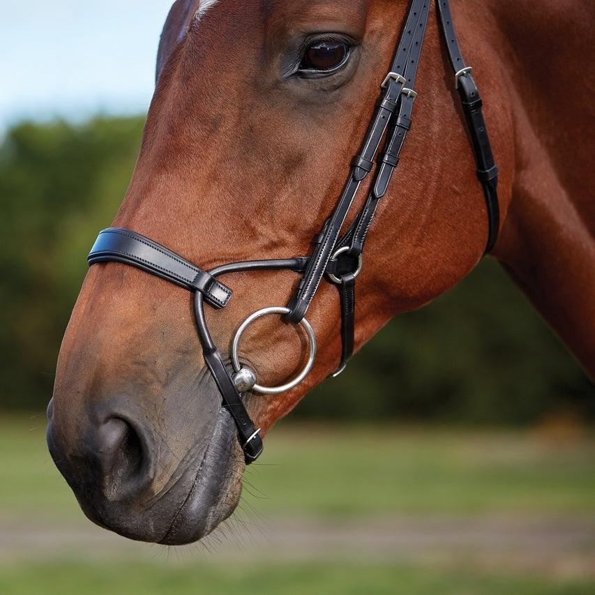 Collegiate ComFITec Training Bridle - Black