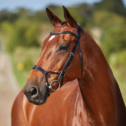 Collegiate ComFITec Training Bridle - Black