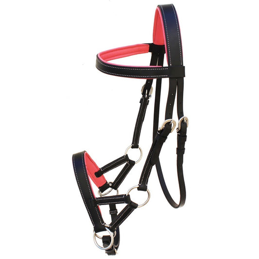 Professional Equine Sidepull Bridle with Colored Padding - Black/Pink