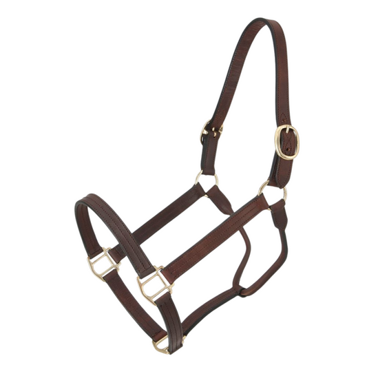 Royal King® Leather Track Halter