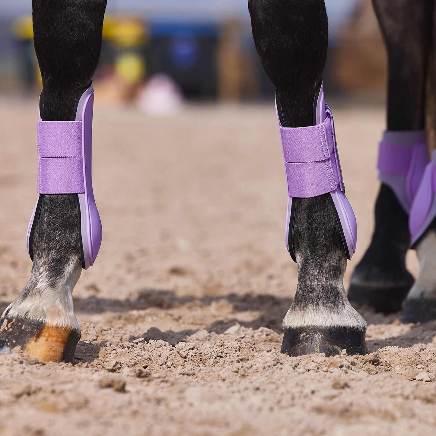 Horze Adepto Tendon Boots - Languid Lavender Purple