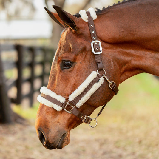 Equinavia Valkyrie Ultra Fleece Breakaway Halter - Brown/Ivory White