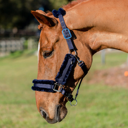 Equinavia Valkyrie Ultra Fleece Breakaway Halter - Navy/Navy