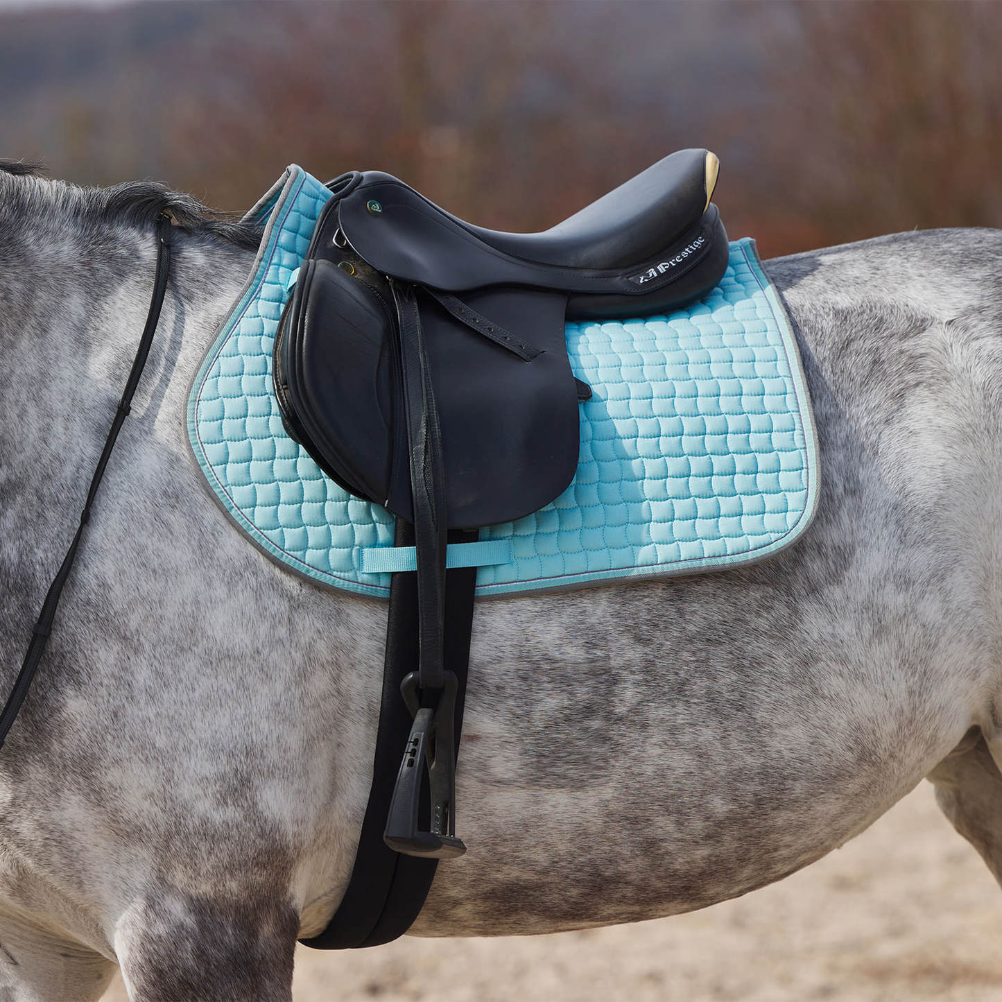 Horze Adepto All Purpose Saddle Pad - Canal Blue