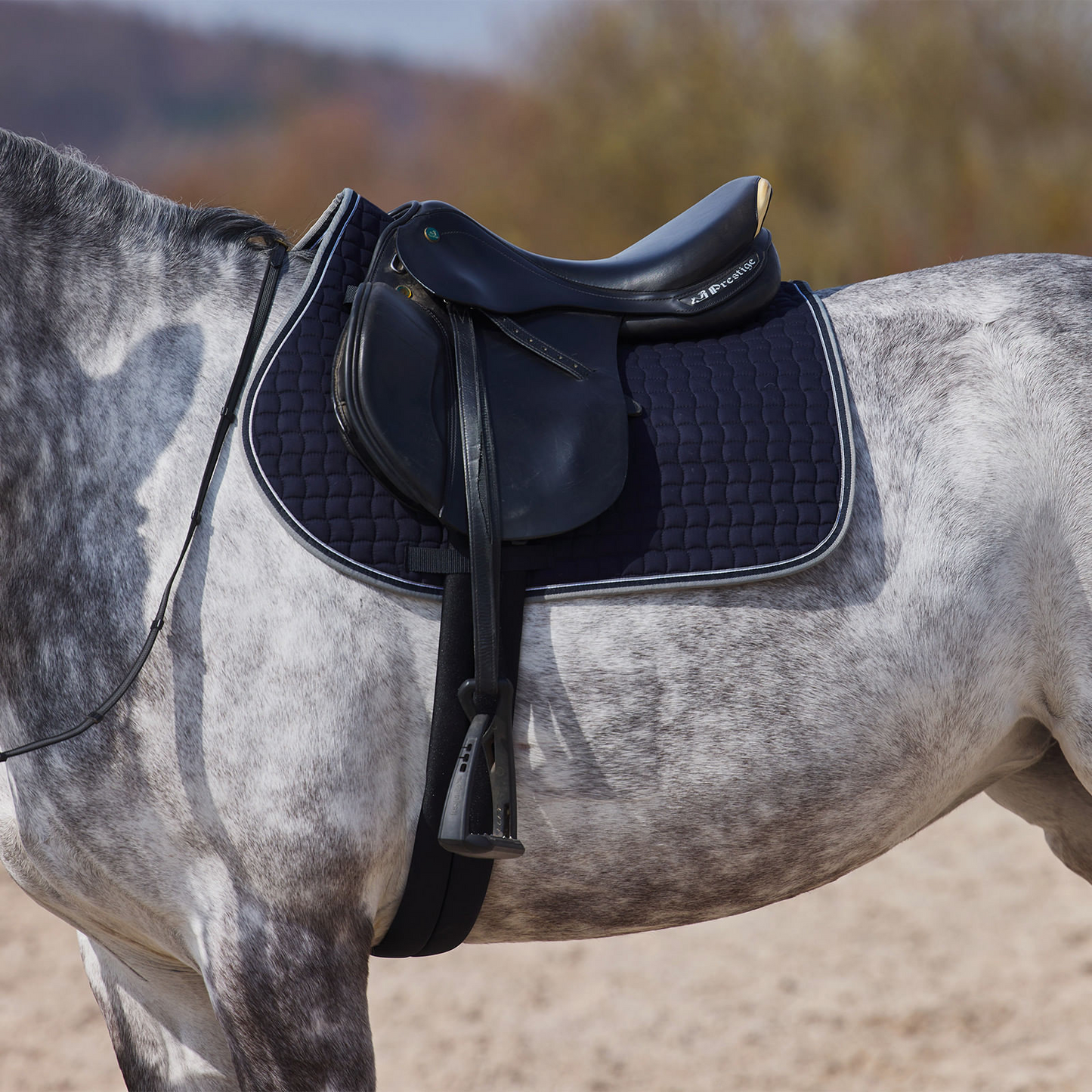 Horze Adepto All Purpose Saddle Pad - Dark Navy
