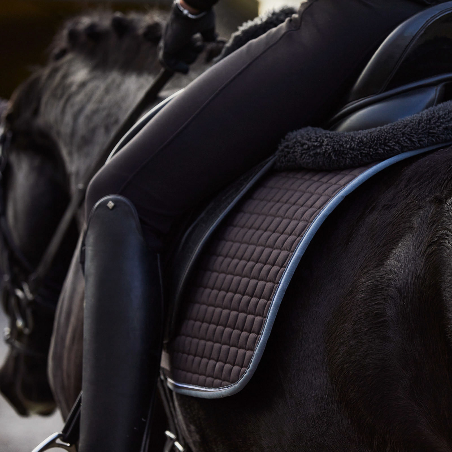 Horze Adepto Dressage Saddle Pad - Dark Brown