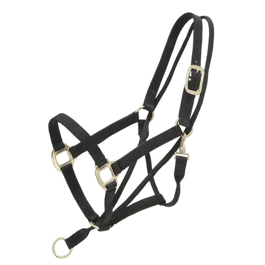 Tough1® Eagle Equine Pull Back Halter
