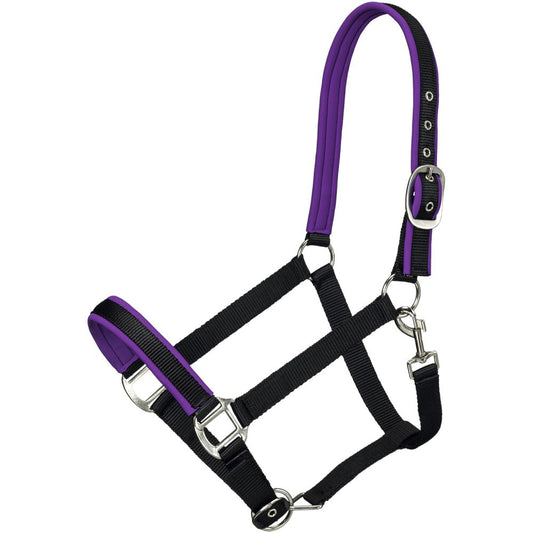 Tough1® Neoprene Padded Nylon Halter - Purple
