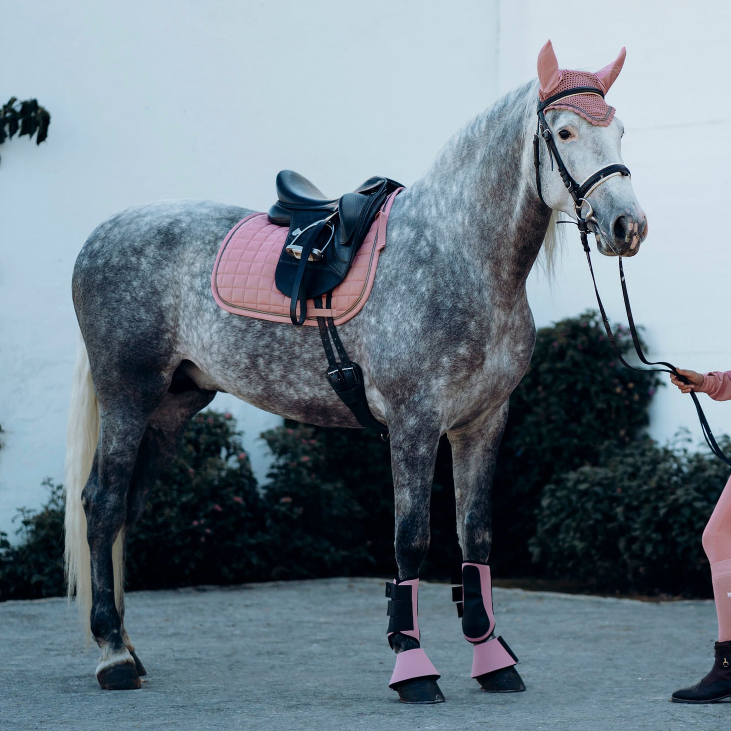 Horze Munich Dressage Saddle Pad with Metallic Piping - Rose Tan
