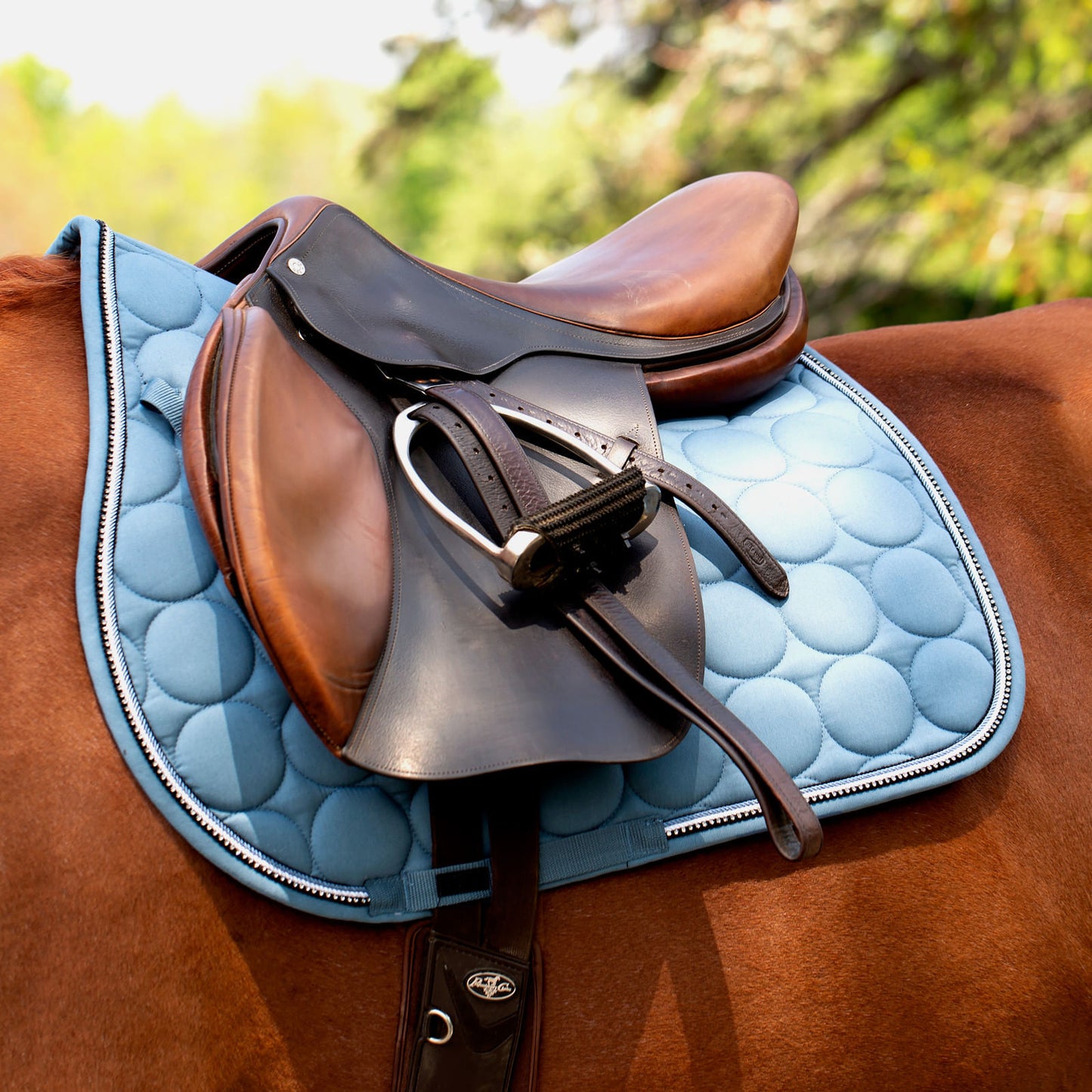 Horze Marquess All Purpose Saddle Pad - Aegean Blue