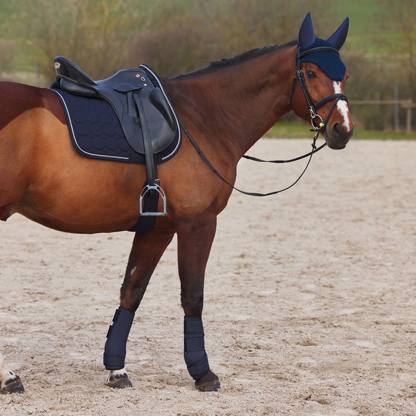 Horze Marquess Dressage Saddle Pad - Dark Navy