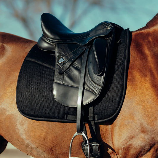 Horze Phoenix Dressage Saddle Pad - Black