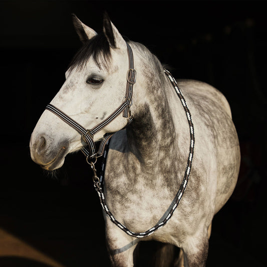 Horze Adepto Lead - Dark Navy