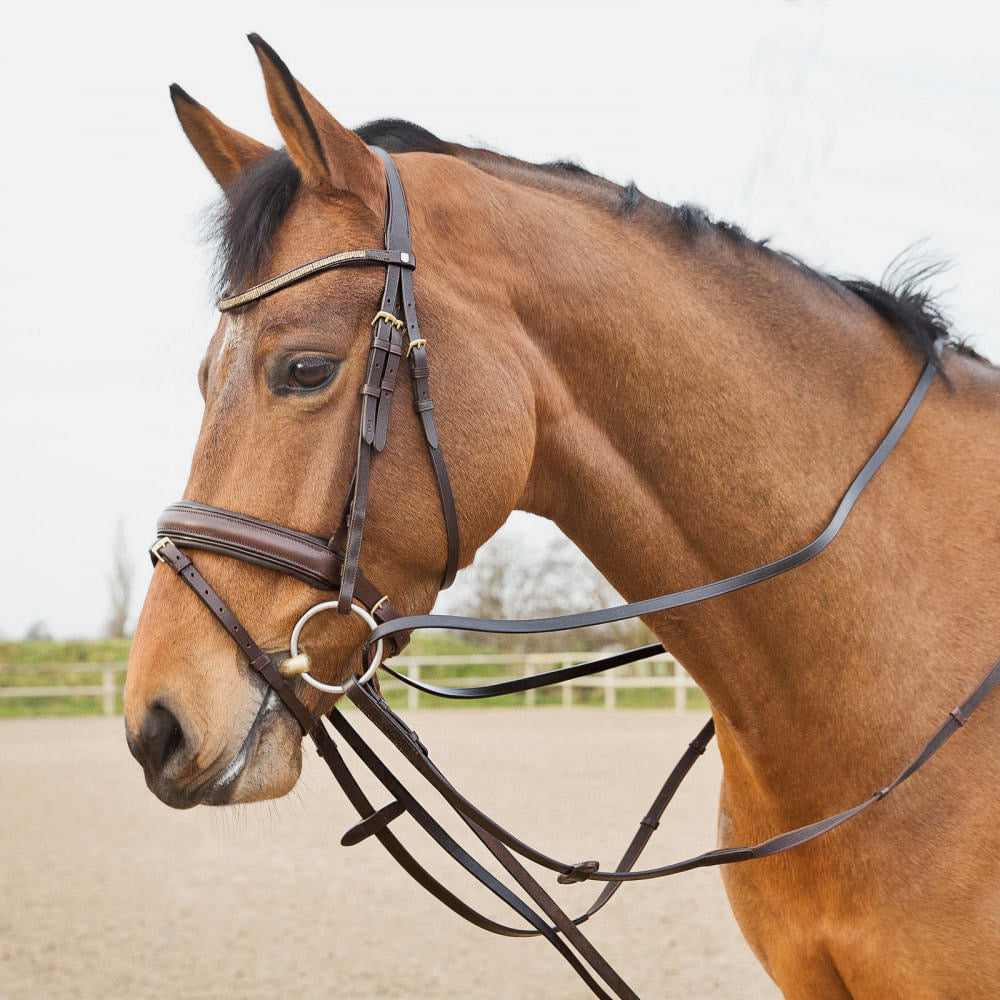 Horze Sparta Leather Draw Reins - Dark Brown