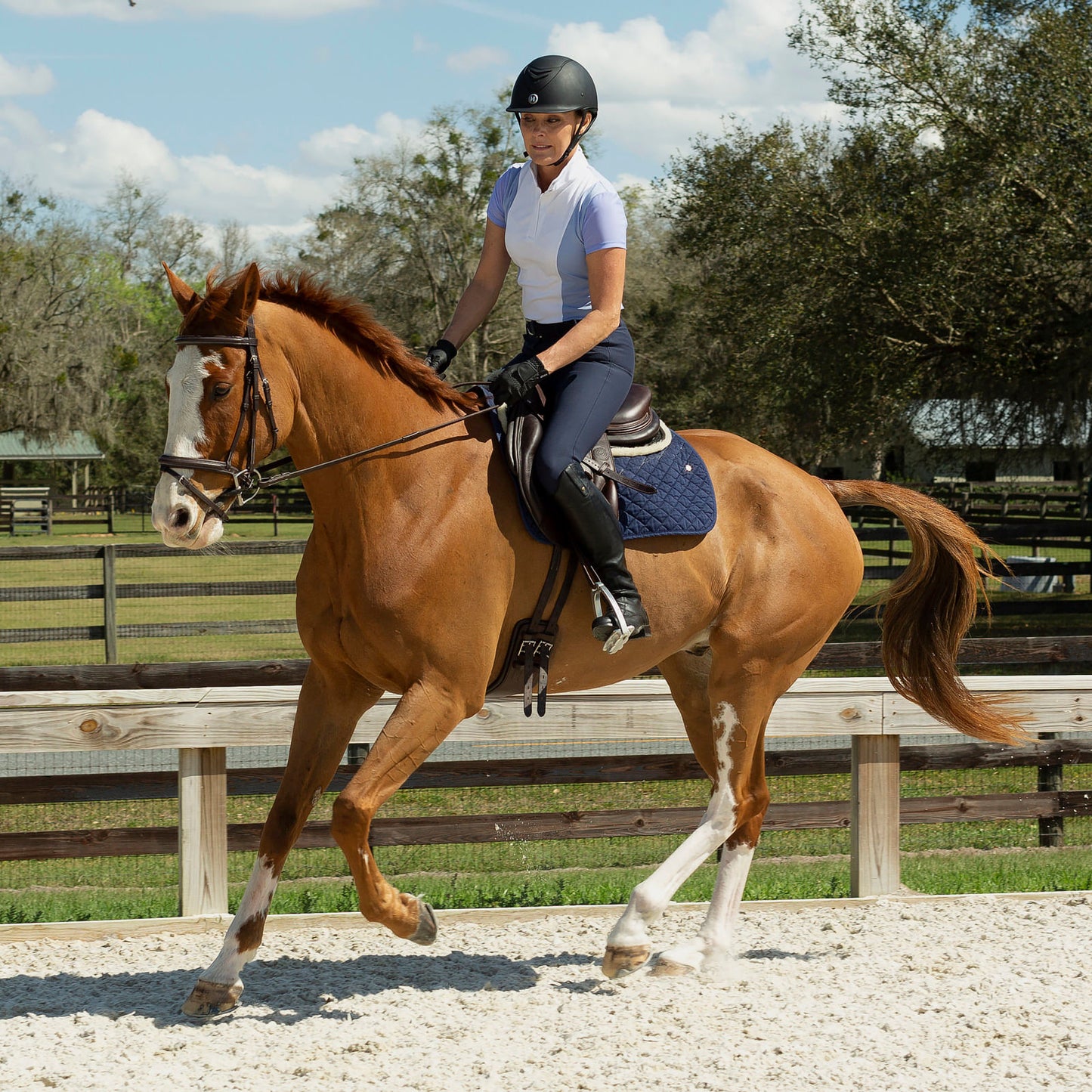 Equinavia Maud Womens Knee Patch Breeches - Navy