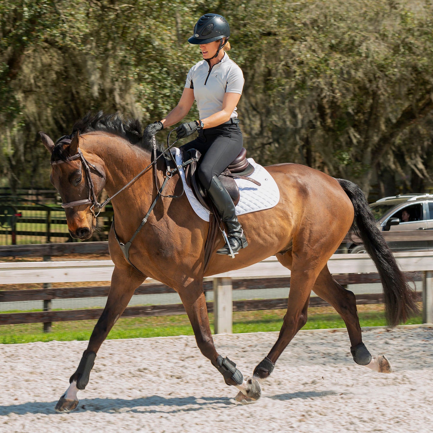Equinavia Maud Womens Knee Patch Breeches - Black