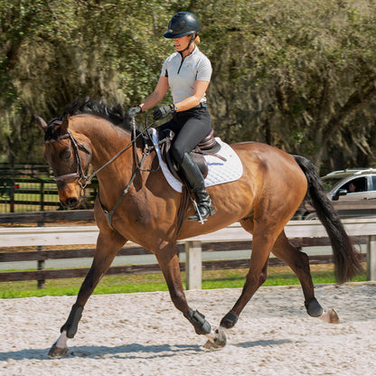 Equinavia Maud Womens Knee Patch Breeches - Black