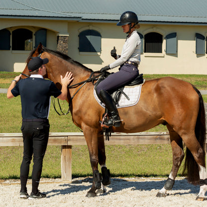 Equinavia Erik Mens Knee Patch Breeches - Black