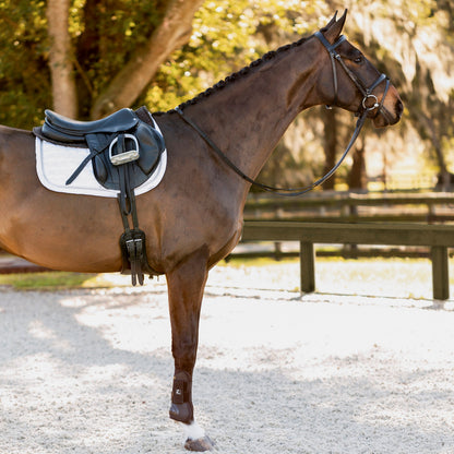 Equinavia Saga Padded Dressage Bridle
