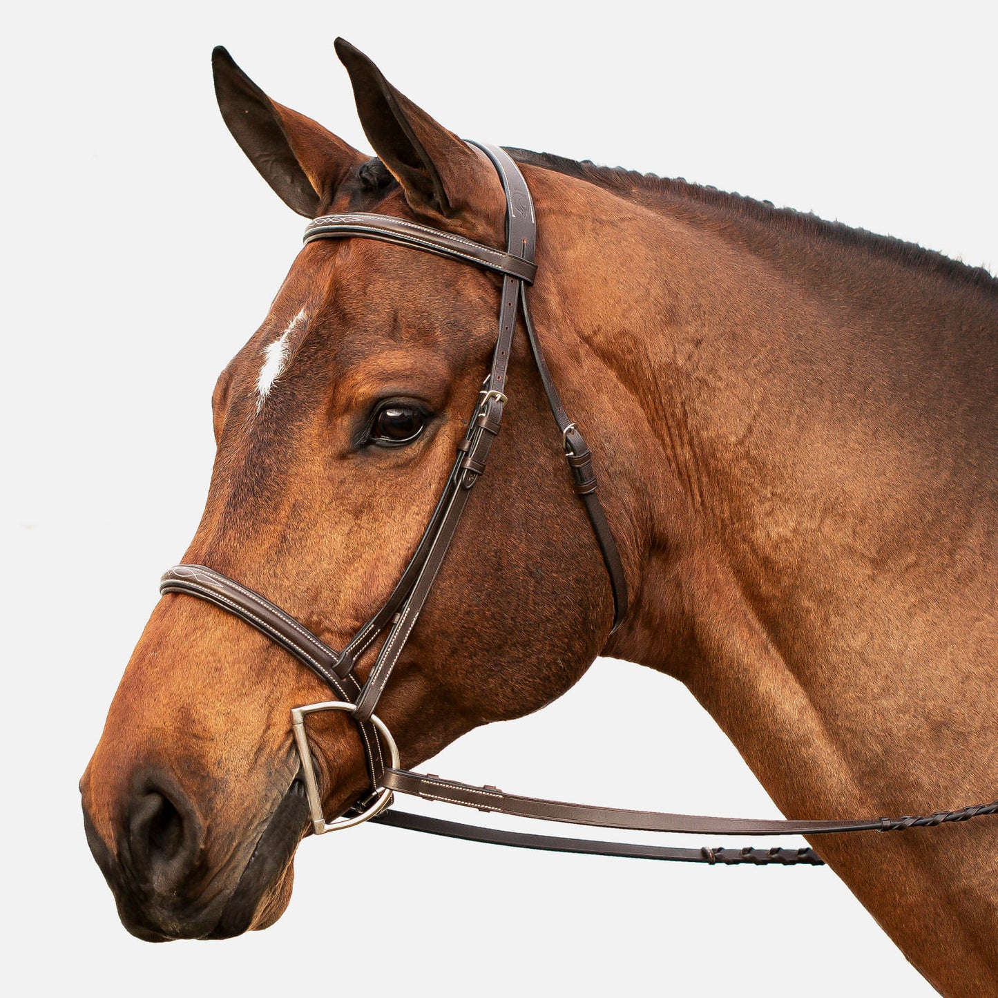 Equinavia Saga Fancy Stitched Hunter Bridle