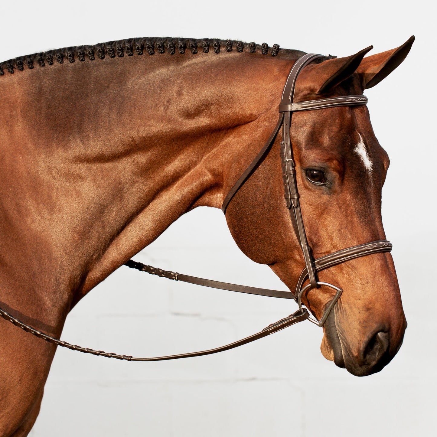 Equinavia Saga Fancy Stitched Hunter Bridle